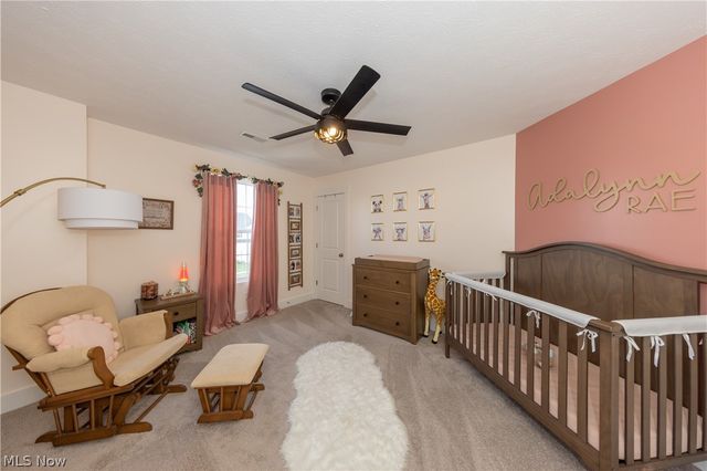 8810 Leatherleaf Drive, Columbia Station, OH 44028