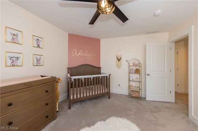 8810 Leatherleaf Drive, Columbia Station, OH 44028