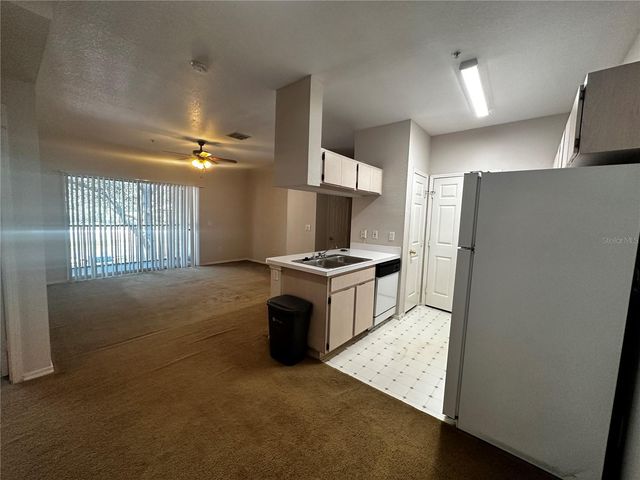 13245 SANCTUARY COVE DRIVE 201, Tampa, FL 33637