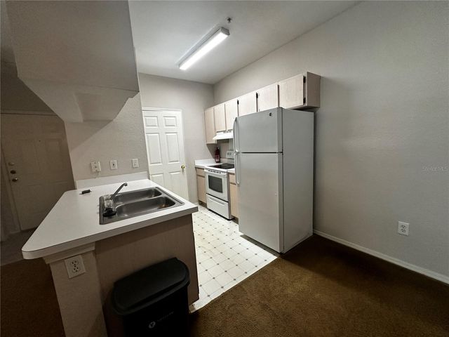 13245 SANCTUARY COVE DRIVE 201, Tampa, FL 33637