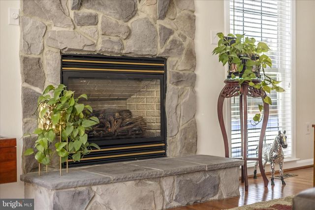 3937 SOUTHVIEW CT, Jefferson, MD 21755