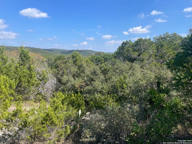 320 Private Road 1742, Mico, TX 78056