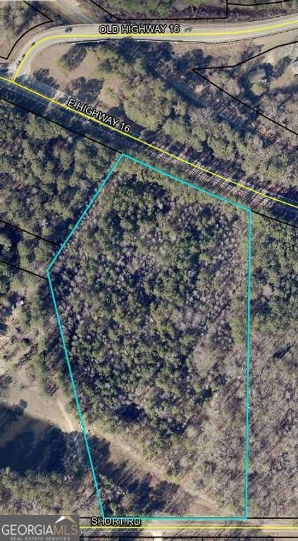 LOTS 1-5 Short Road, Sharpsburg, GA 30277 — photo 3