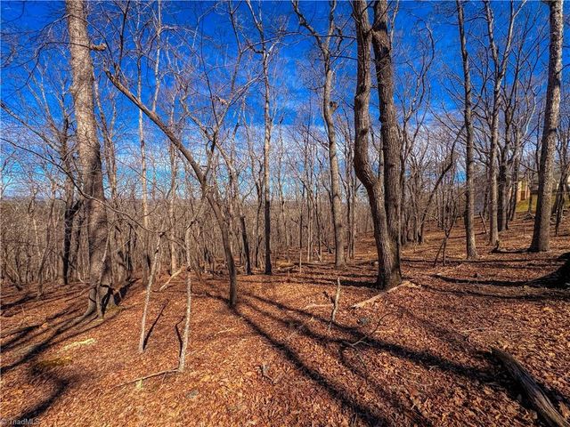 2171 Sierra Trace Road, Denton, NC 27239