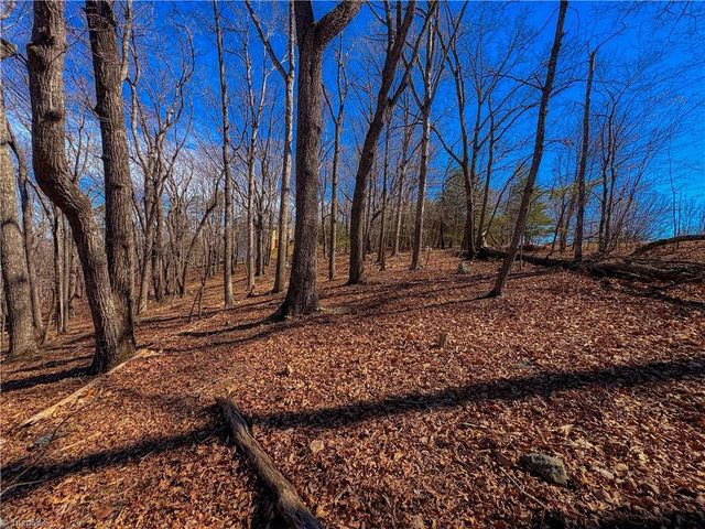 2171 Sierra Trace Road, Denton, NC 27239
