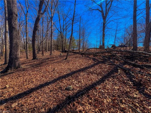 2171 Sierra Trace Road, Denton, NC 27239