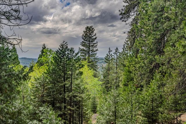 21016 Sierra Circle Dr, Pioneer, CA 95666