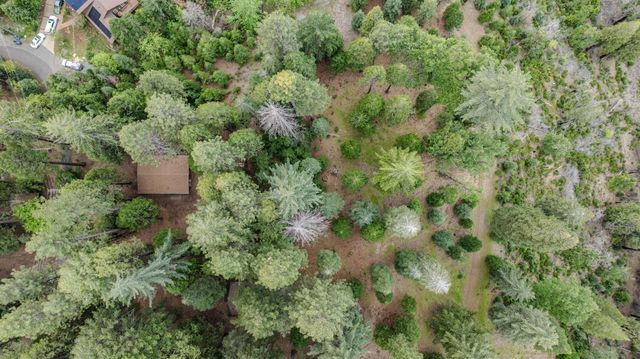 21016 Sierra Circle Dr, Pioneer, CA 95666