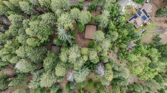 21016 Sierra Circle Dr, Pioneer, CA 95666