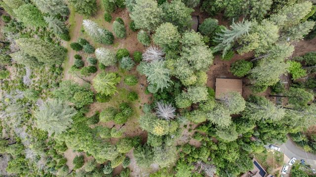 21016 Sierra Circle Dr, Pioneer, CA 95666
