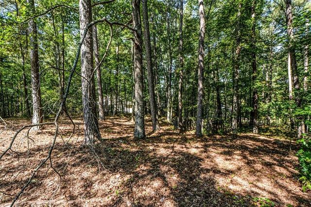 3078 Essex Drive, Villa Rica, GA 30180