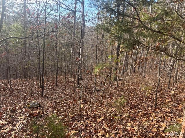 4944 Highway C, Fredericktown, MO 63645