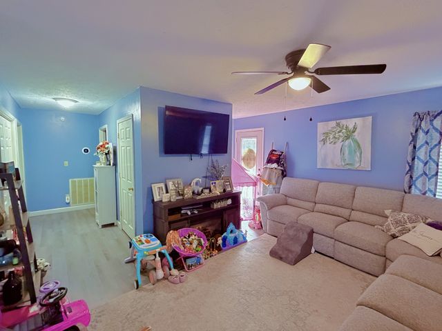 65 Pleasant Hill Rd, Springville, TN 38256