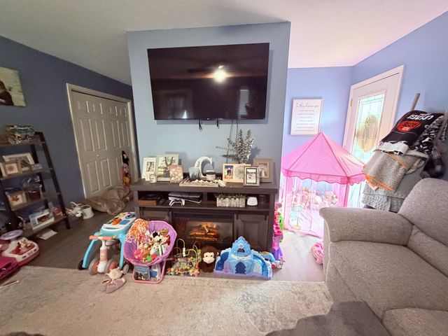 65 Pleasant Hill Rd, Springville, TN 38256