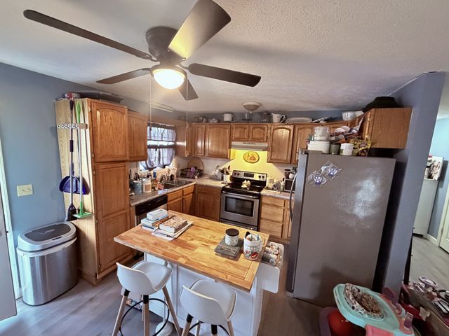 65 Pleasant Hill Rd, Springville, TN 38256