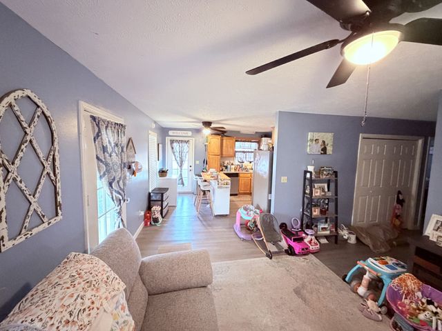65 Pleasant Hill Rd, Springville, TN 38256