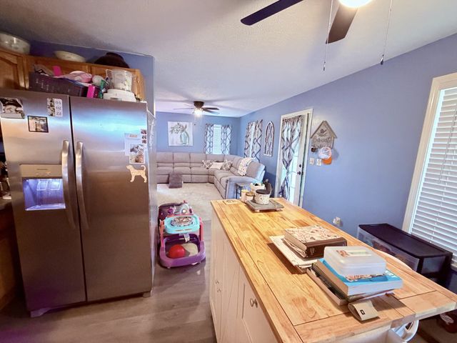 65 Pleasant Hill Rd, Springville, TN 38256