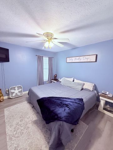 65 Pleasant Hill Rd, Springville, TN 38256
