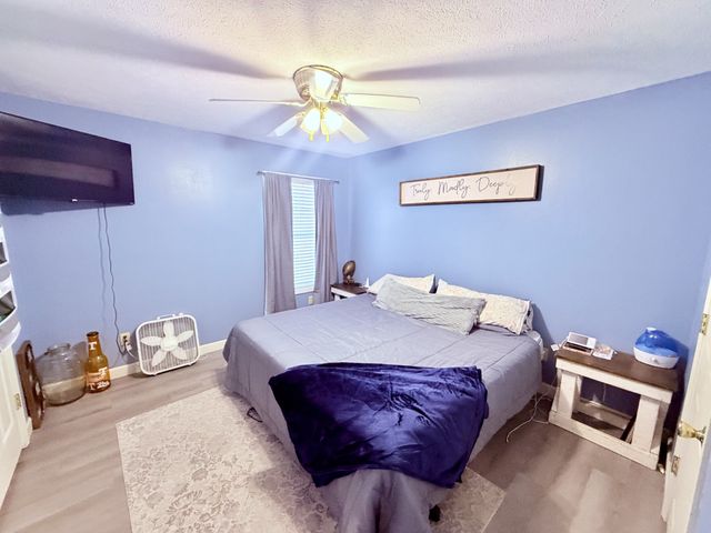 65 Pleasant Hill Rd, Springville, TN 38256
