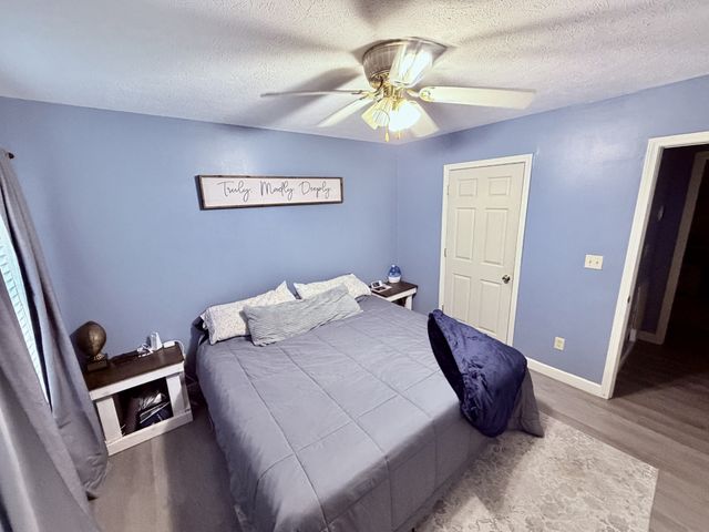 65 Pleasant Hill Rd, Springville, TN 38256