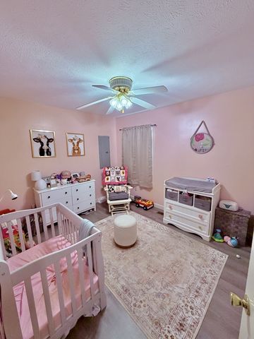 65 Pleasant Hill Rd, Springville, TN 38256