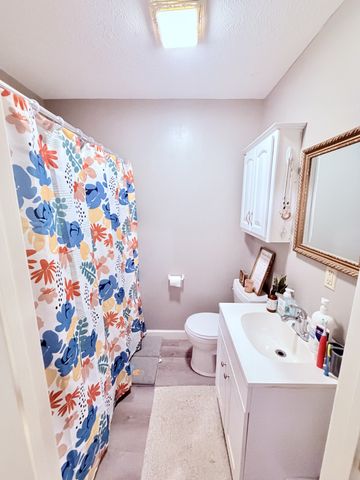 65 Pleasant Hill Rd, Springville, TN 38256
