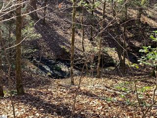 00 Saw Mill Road, Marietta, SC 29661