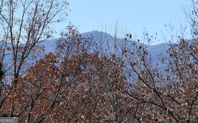 1701 Victoria Woods Drive, Hiawassee, GA 30546