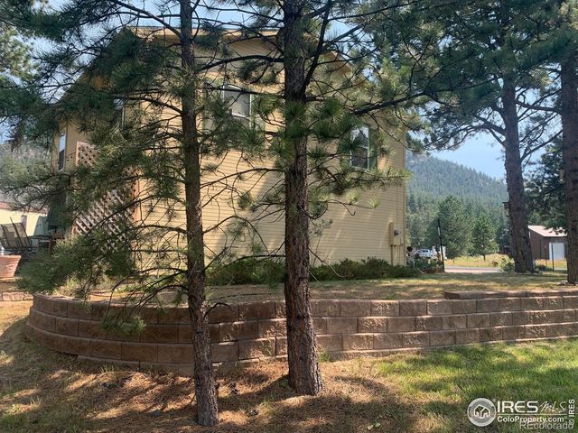 465 Pine River Lane, Estes Park, CO 80517