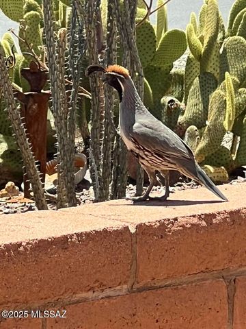 2052 S Santa Carla Dr, Green Valley, AZ 85614