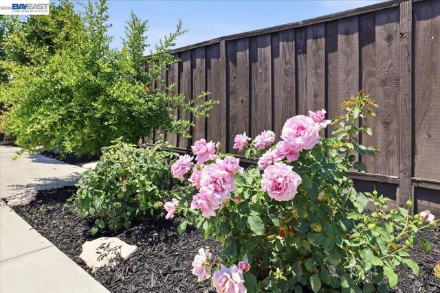 5619 Willkie Pl, Fremont, CA 94538