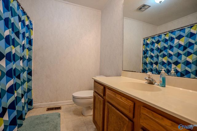 3919 South Chapel Hill Road SW, Decatur, AL 35603