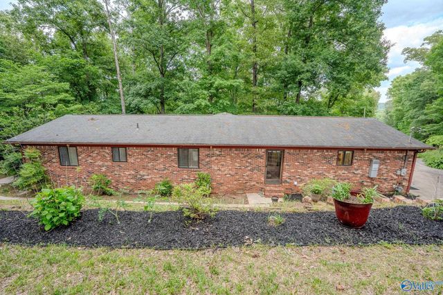 3919 South Chapel Hill Road SW, Decatur, AL 35603