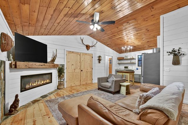 50 Lakeview Dr, Cherry Log, GA 30522