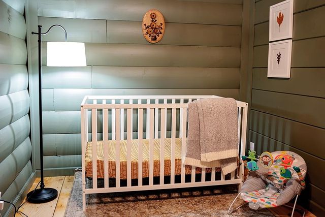 50 Lakeview Dr, Cherry Log, GA 30522