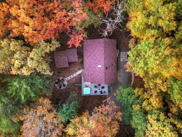 50 Lakeview Dr, Cherry Log, GA 30522