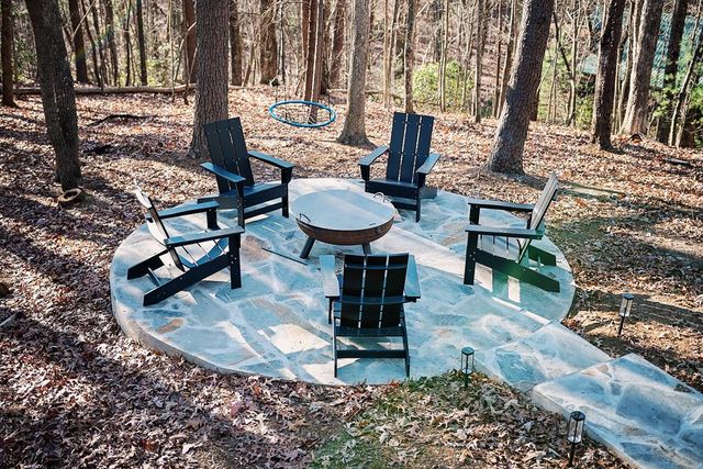 50 Lakeview Dr, Cherry Log, GA 30522