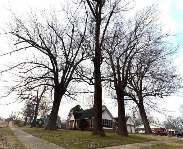 827 W Main Street, Piggott, AR 72454