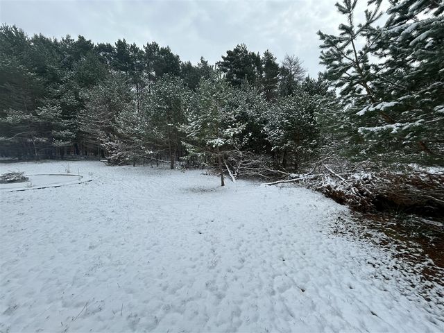 15067 Winding Creek Drive, Bear Lake, MI 49614