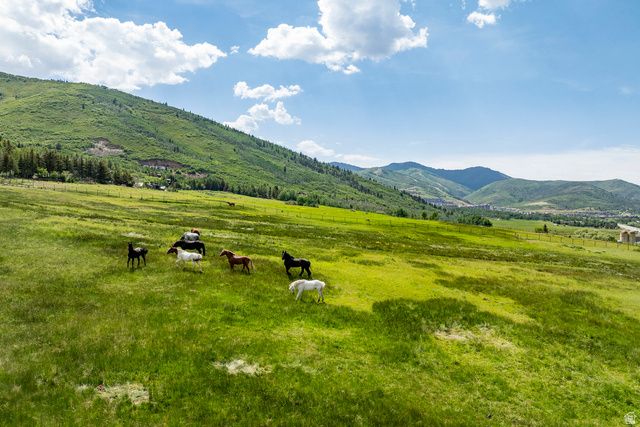 14 CANYON CT, Park City, UT 84060