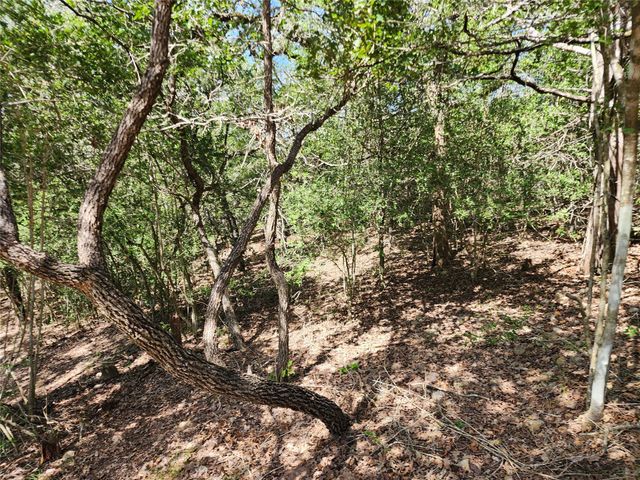 LOT 310 Kalihi Court CT, Bastrop, TX 78602