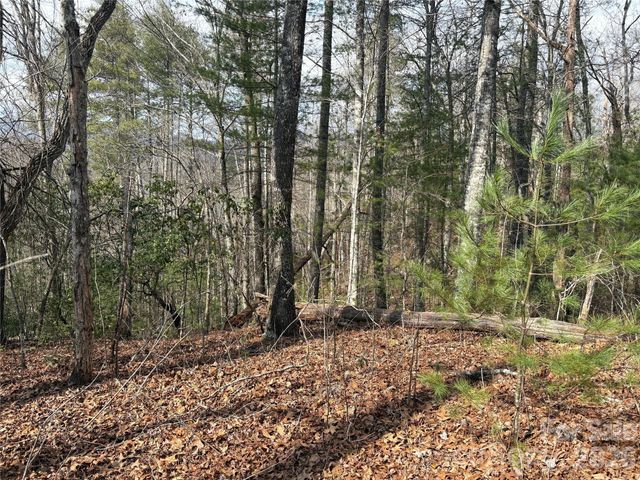 00 Round Hill Road 14, Bryson City, NC 28713