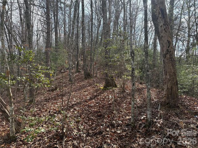 00 Round Hill Road 14, Bryson City, NC 28713