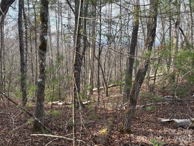 00 Round Hill Road 14, Bryson City, NC 28713