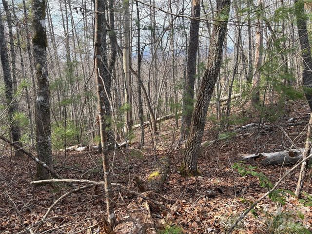 00 Round Hill Road 14, Bryson City, NC 28713
