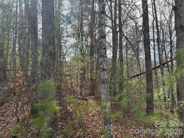 00 Round Hill Road 14, Bryson City, NC 28713