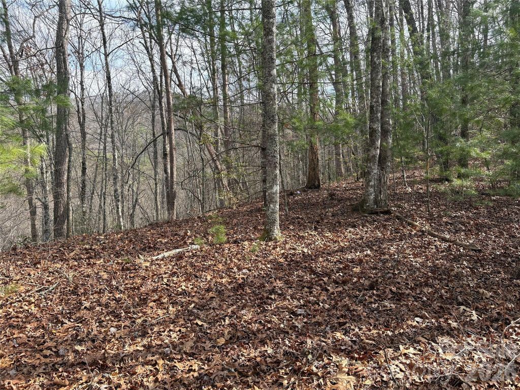 00 Round Hill Road 14, Bryson City, NC 28713