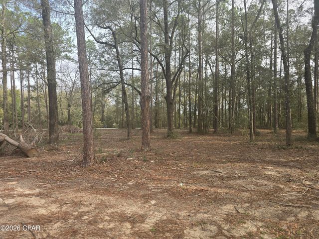 445 Cat Island Road, Defuniak Springs, FL 32433