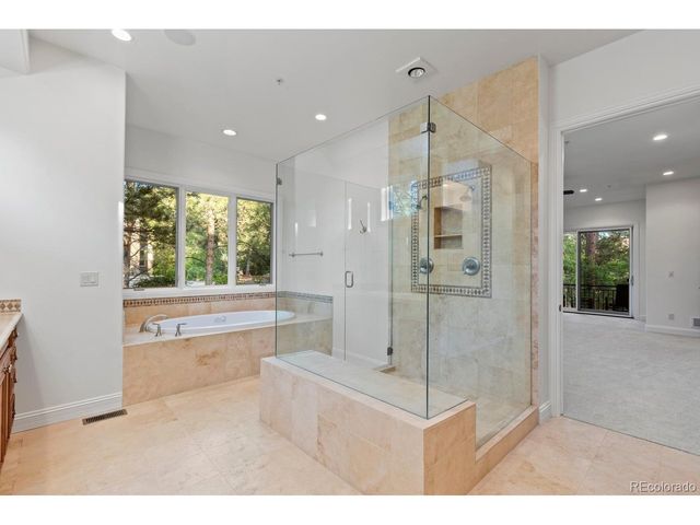 645 Ruby Trust Dr, Castle Rock, CO 80108