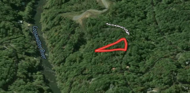 00 Miramar Drive, Ellijay, GA 30540